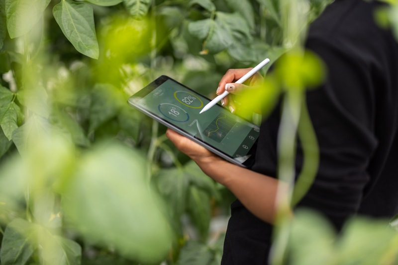 Technology in nature - Getty Images